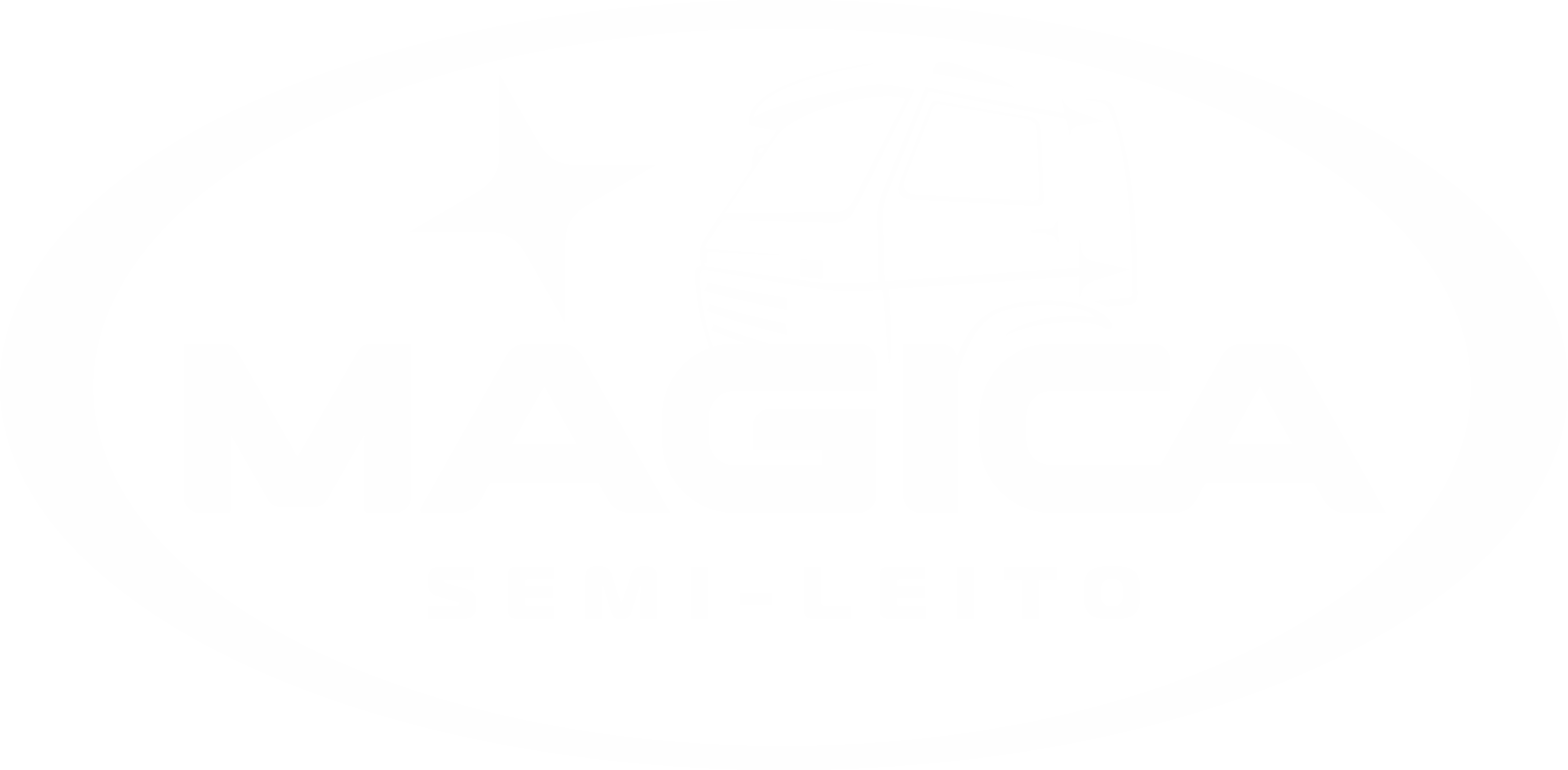 Logo - Mágica Semi Leito